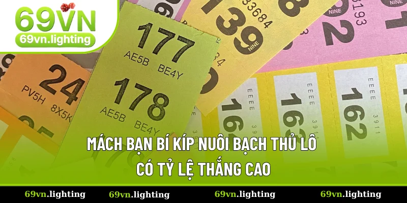 Hướng Dẫn Cách Soi Kèo Bạch Thủ Lô Bất Bại Trong 2025