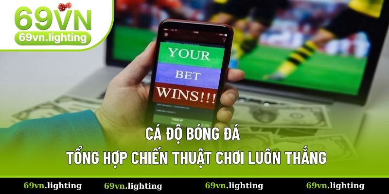 Cá Độ Bóng Đá