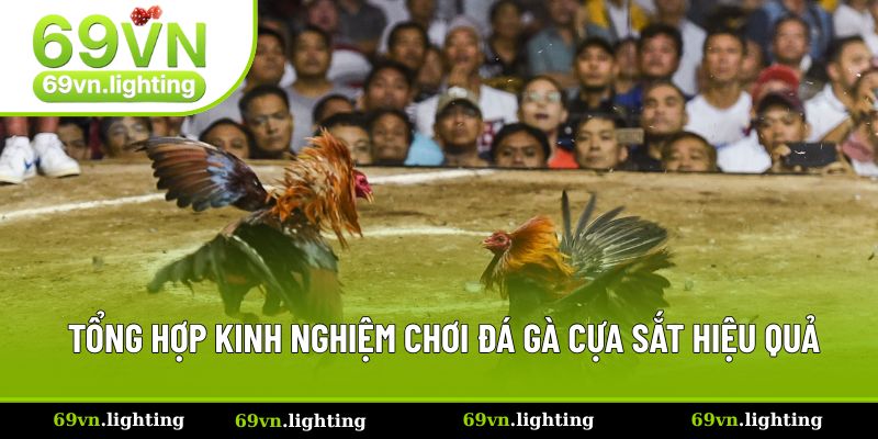 Bật mí các bí kíp cược đá gà cựa sắt