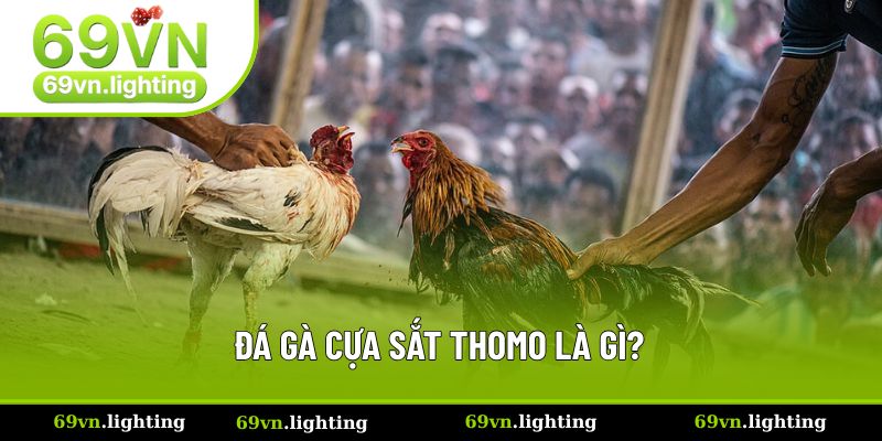 Định nghĩa về đá gà cựa sắt tại Thomo