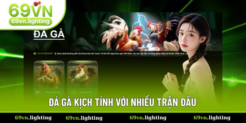 Đá gà 69VN kịch tính bật nhất Đá gà 69VN kịch tính bật nhất