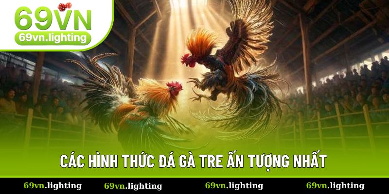 Những hình thức chọi kê kịch tính được ưa chuộng nhất hiện nay