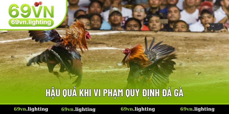 Hệ lụy phát sinh từ việc phạm luật đá gà Hệ lụy phát sinh từ việc phạm luật đá gà