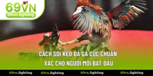 Kèo Đá Gà - Hiểu Kèo Đúng Cách Giúp Bạn Tăng Tỷ Lệ Thắng