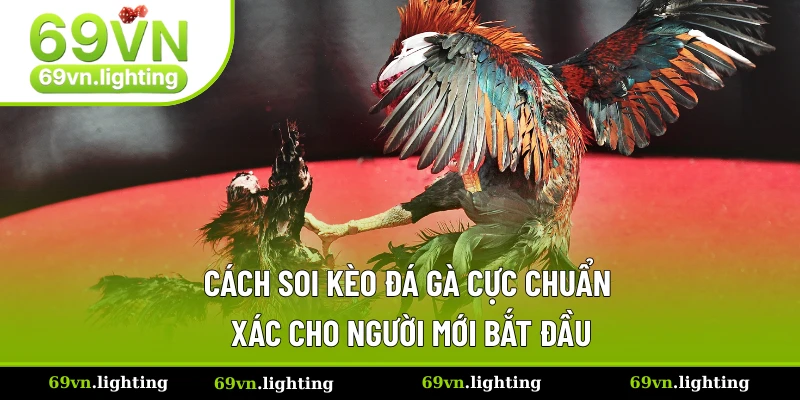 Kèo Đá Gà - Hiểu Kèo Đúng Cách Giúp Bạn Tăng Tỷ Lệ Thắng