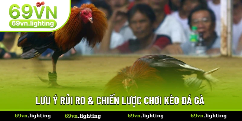 Nên nắm rõ rủi ro và các mẹo chơi trước khi tham gia chơi