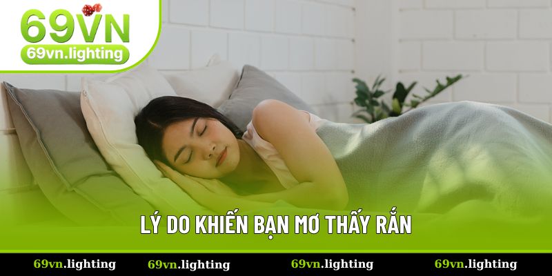 Mơ Thấy Rắn - Giải Đáp Ý Nghĩa Tâm Linh Và Các Số Đề Đẹp 2 Lý do khiến bạn mơ thấy rắn
