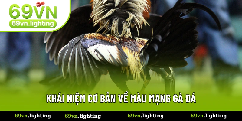 Khái niệm cơ bản về màu mạng gà đá