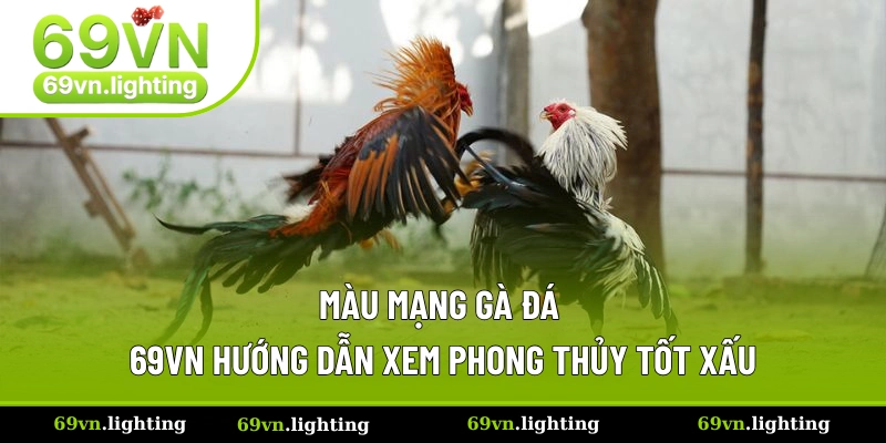 Màu Mạng Gà Đá - Bí Quyết Chọn Gà Để Tăng Tỷ Lệ Thắng