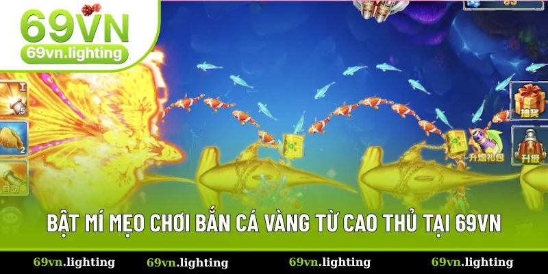 Chuyên gia chia sẻ hai bí kíp săn cá bất bại 
