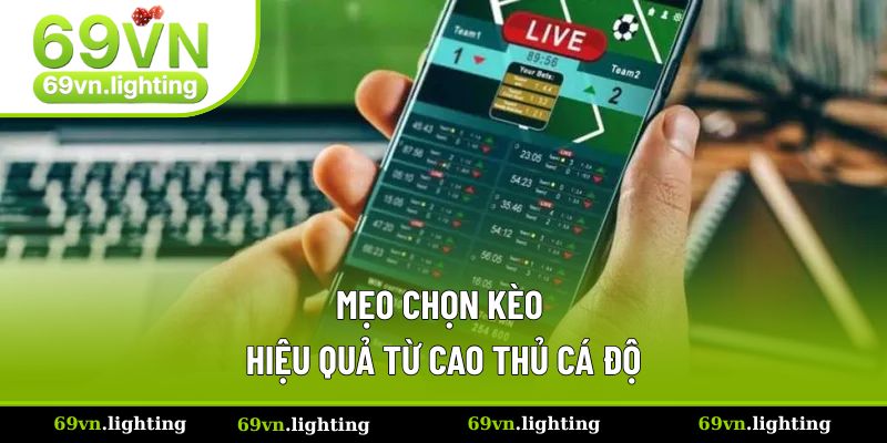 Mẹo chọn kèo hiệu quả từ cao thủ cá độ