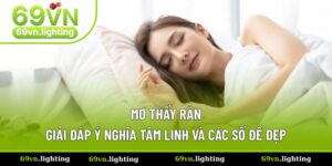 Mơ Thấy Rắn Đánh Con Gì? Tổng Hợp Các Trường Hợp Mơ