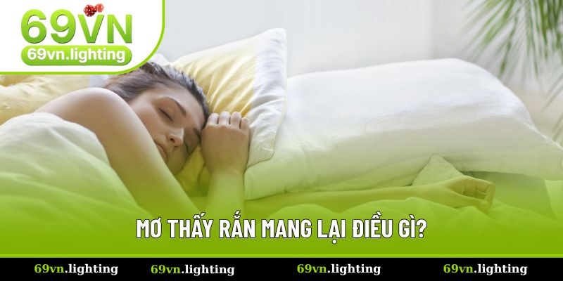 Mơ thấy rắn mang lại điều gì? Mơ thấy rắn mang lại điều gì?