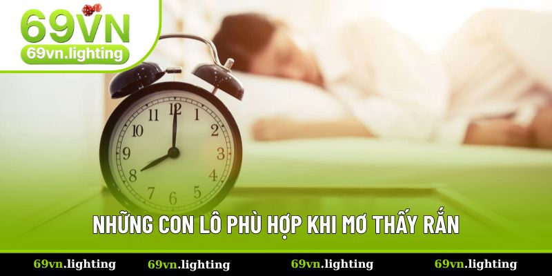 Những con lô phù hợp khi mơ thấy rắn Những con lô phù hợp khi mơ thấy rắn