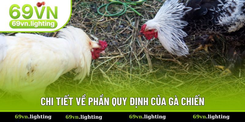 Những nguyên tắc bắt buộc khi tham gia đá gà ăn tiền Những nguyên tắc bắt buộc khi tham gia đá gà ăn tiền