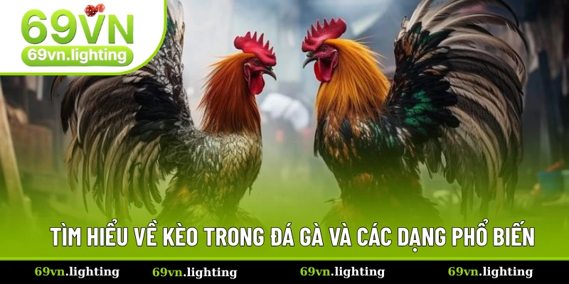 Tìm hiểu về kèo đá gà và các thông tin liên quan
